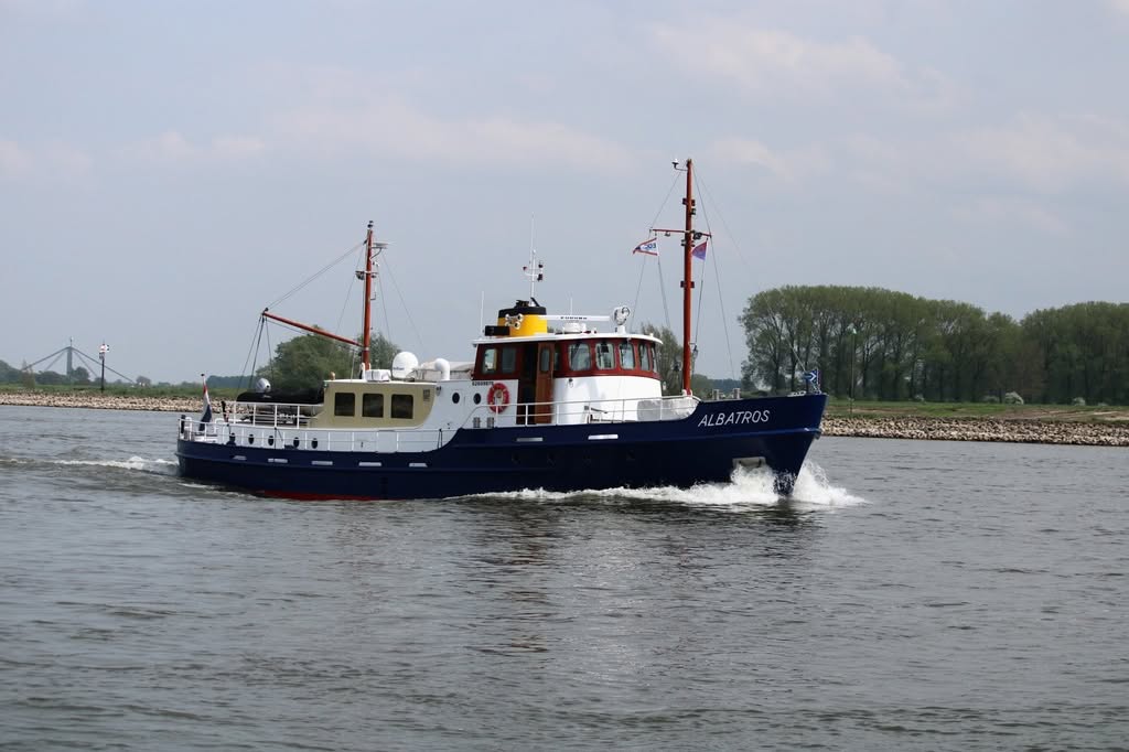 Albatros 1953